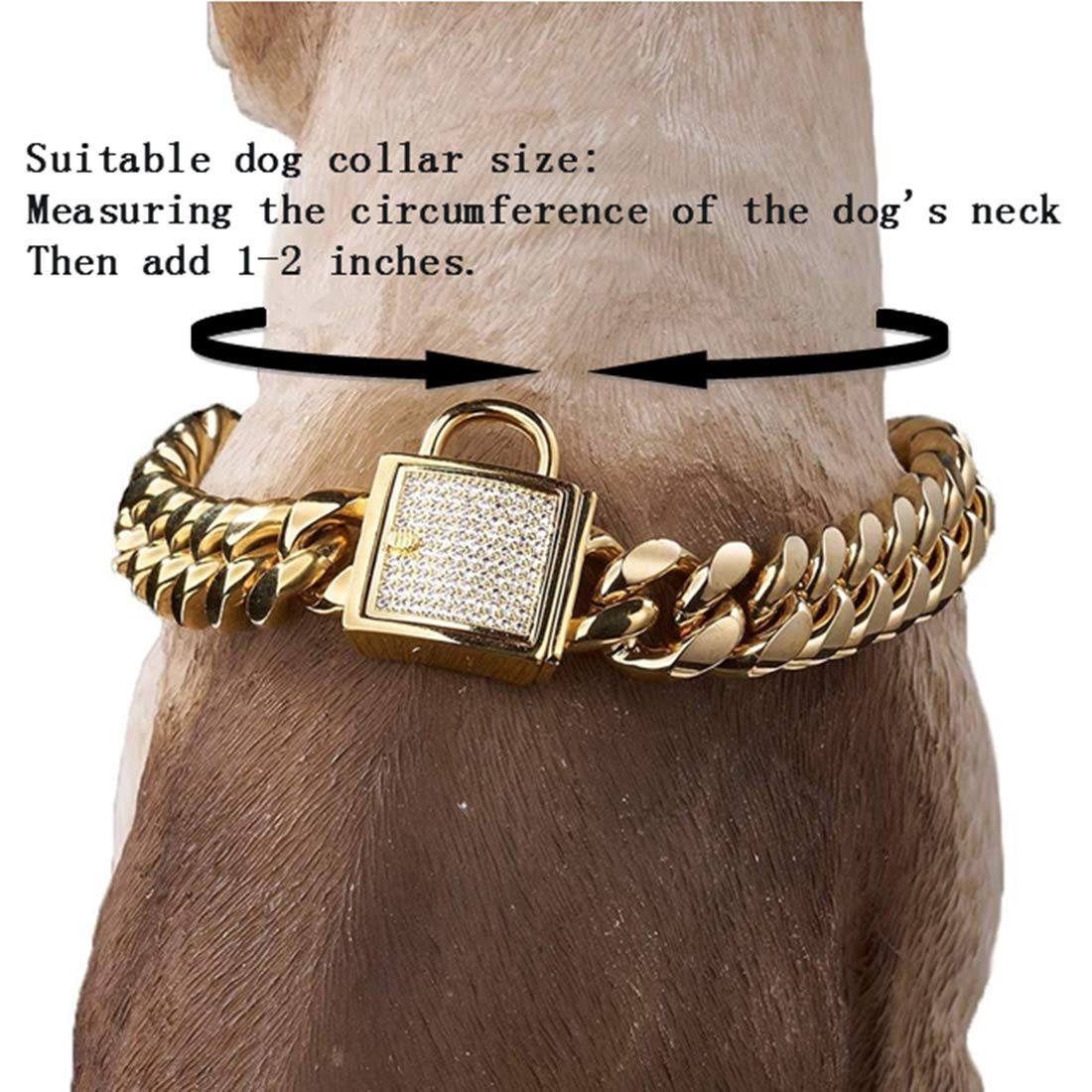 Gold Dog Chain Collar 10mm Wide Cuban Link Puppy Collar 316L Stainless Steel with CZ Diamond Lock Bling Collar for Large Medium Small Dogs(10mm Gold,10inches)