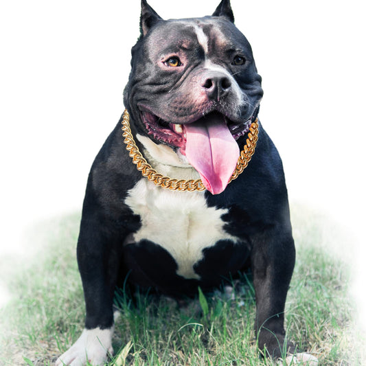Gold Chain Dog Collar-15mm Cute Dog Collar Pet Gold Necklace Bulldog Light Metal Puppy Jewelry 20" Chain Puppy Costume