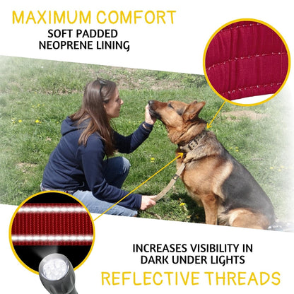 ADITYNA - Heavy Duty Dog Collar with Handle - Thick Dog Collar for Large Dogs - Wide, Reflective, Tactical, Soft Neoprene Padded - Perfect Dog Collar for Training and Walking
