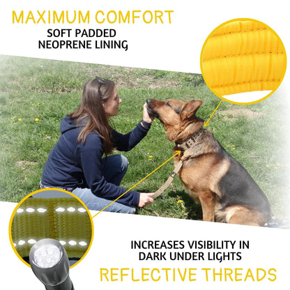 ADITYNA - Heavy Duty Dog Collar with Handle - Thick Dog Collar for Large Dogs - Wide, Reflective, Tactical, Soft Neoprene Padded - Perfect Dog Collar for Training and Walking
