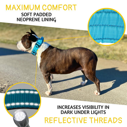ADITYNA - Heavy Duty Dog Collar with Handle - Thick Dog Collar for Large Dogs - Wide, Reflective, Tactical, Soft Neoprene Padded - Perfect Dog Collar for Training and Walking