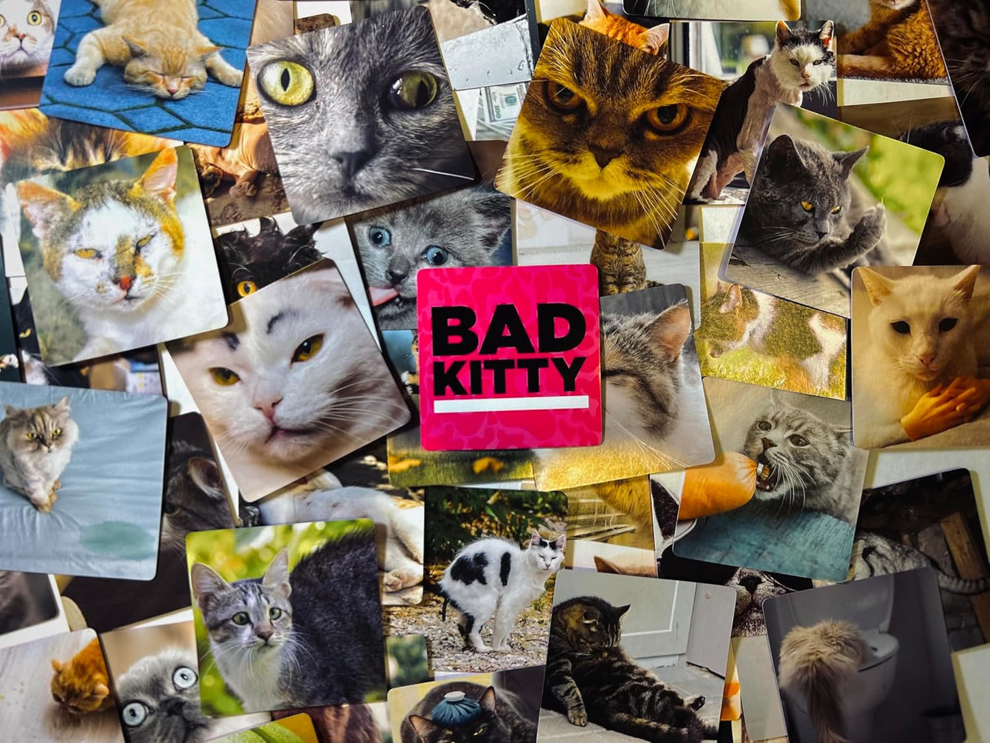 BAD KITTY Party Game + After Dark Expansion Set - The Ultimate Meme Game with Cats - The Cats Against Humans Card Game for Friends, Family, Fun Parties and Board Games Night with Your Group