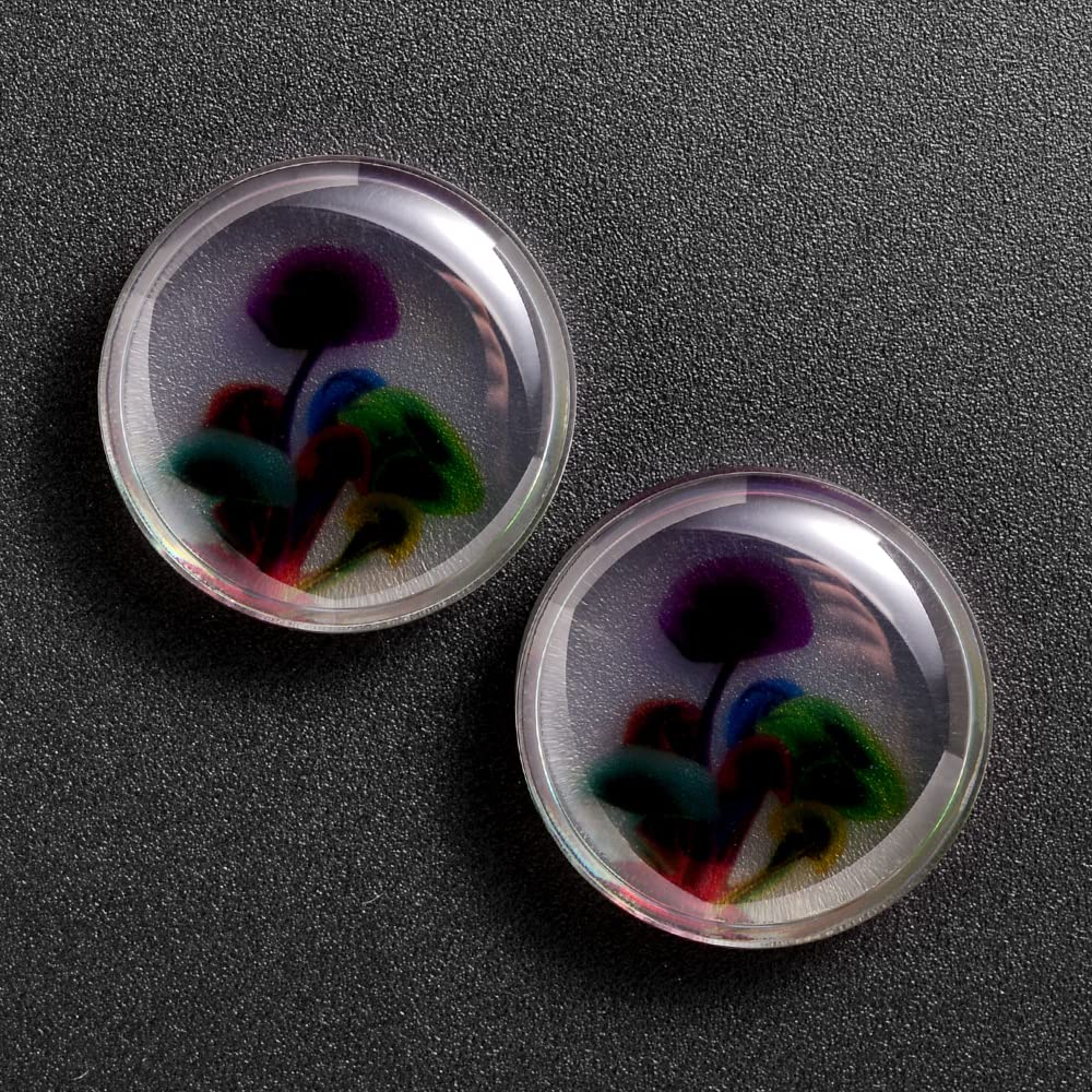 2 PCS Resin Acrylic Transparent Screw Tunnels Ear Expander Stretcher Piercing Ear Gauges