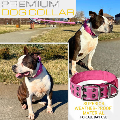 ADITYNA - Heavy Duty Dog Collar with Handle - Thick Dog Collar for Large Dogs - Wide, Reflective, Tactical, Soft Neoprene Padded - Perfect Dog Collar for Training and Walking