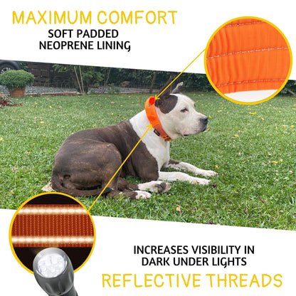 ADITYNA - Heavy Duty Dog Collar with Handle - Thick Dog Collar for Large Dogs - Wide, Reflective, Tactical, Soft Neoprene Padded - Perfect Dog Collar for Training and Walking