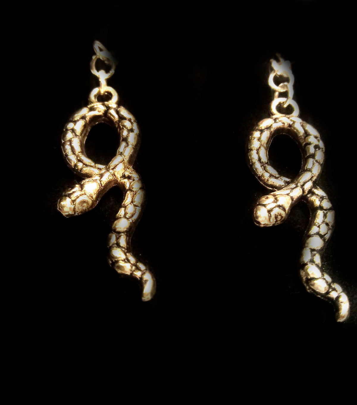 STAINLESS STEEL SNAKE EARRINGS