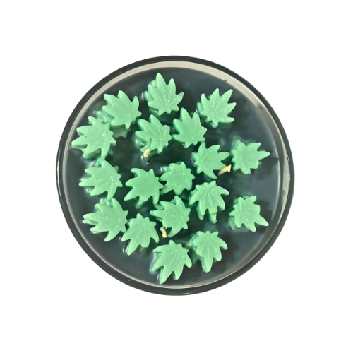 BLACK GOLD BOWL CANDLE WITH FLOATING LEAVES