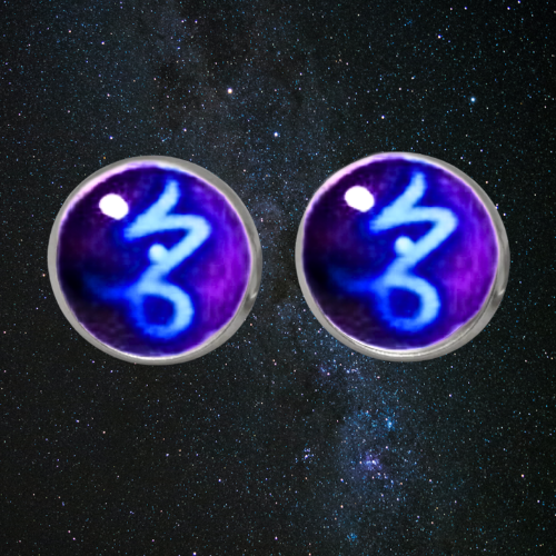 CAPRICORN SIGN CABOCHON ZODIAC EARRINGS