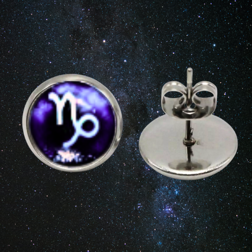 CAPRICORN SIGN CABOCHON ZODIAC EARRINGS