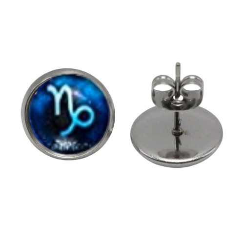 CAPRICORN SIGN CABOCHON ZODIAC EARRINGS