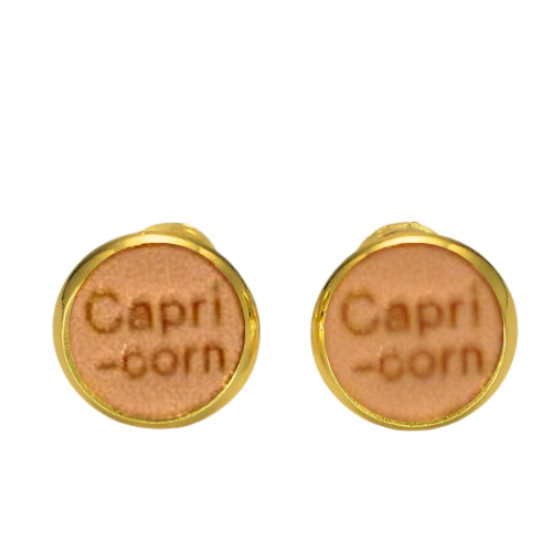 CAPRICORN PINK & GOLD EARRINGS