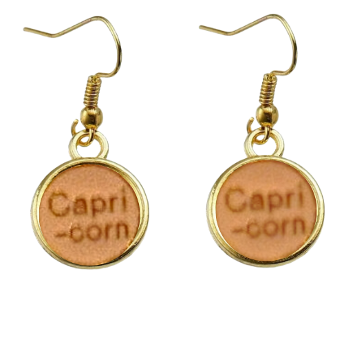 CAPRICORN PINK & GOLD EARRINGS