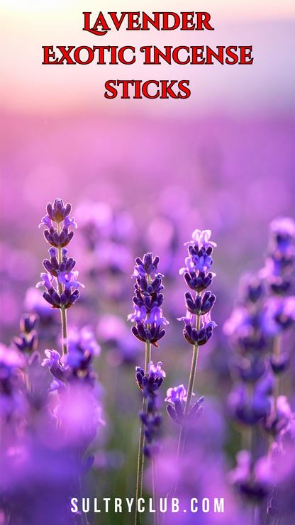 Lavender Exotic Incense Sticks