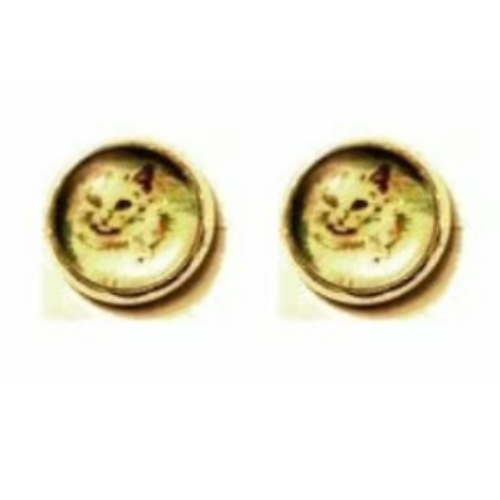 Persian Cat Glass Cabochon Earrings