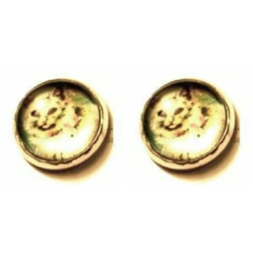 Persian Cat Glass Cabochon Earrings