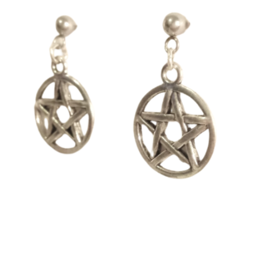 STAINLESS STEEL PENTACLE STAR EARRINGS