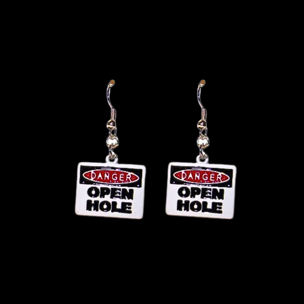 Road Sign Novelty Earrings