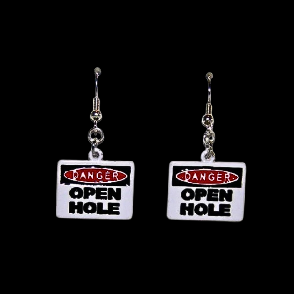 Road Sign Novelty Earrings