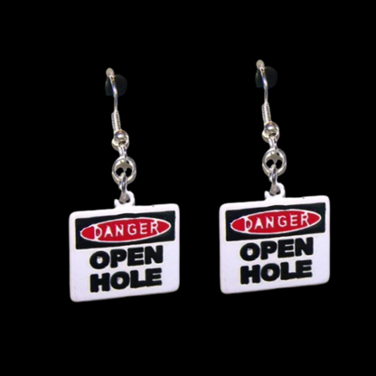 Road Sign Novelty Earrings