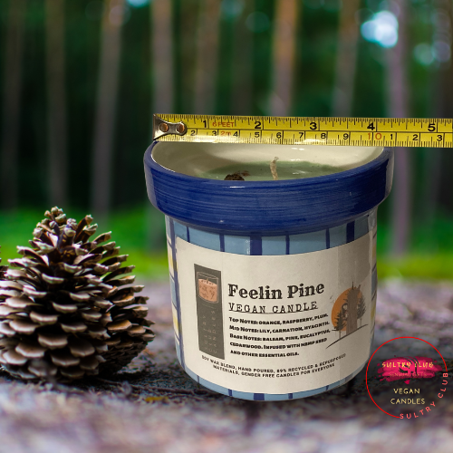 Feelin' Pine Candle (Balsam Cedar And Pine)