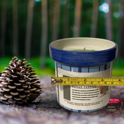Feelin' Pine Candle (Balsam Cedar And Pine)